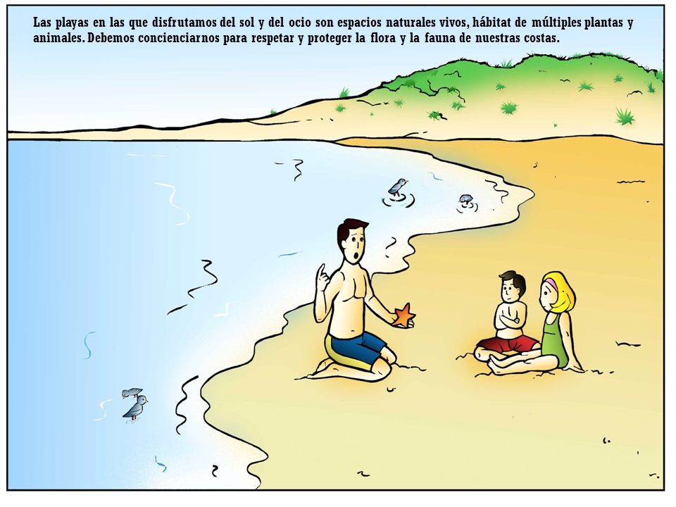 Las playas en las que disfrutamos del sol y del ocio son espacios naturales vivos, hábitat de múltiples plantas y animales.