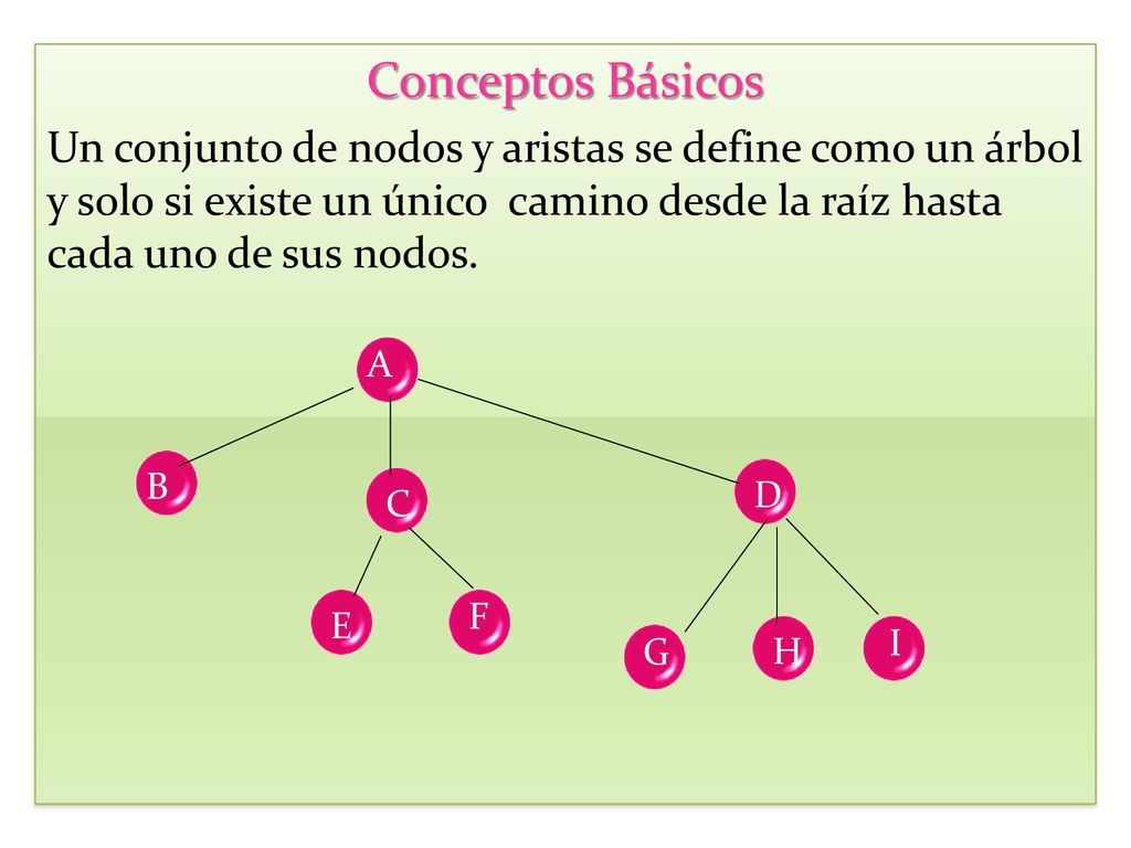 Conceptos Básicos Un conjunto de nodos y aristas se define como un árbol y solo si existe un único camino desde la raíz hasta cada uno de sus nodos.