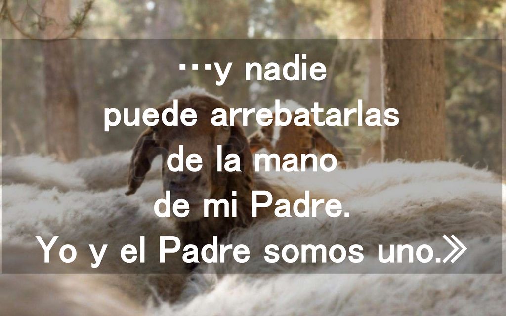 …y nadie puede arrebatarlas de la mano de mi Padre