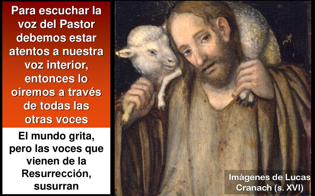 Para escuchar la voz del Pastor debemos estar atentos a nuestra