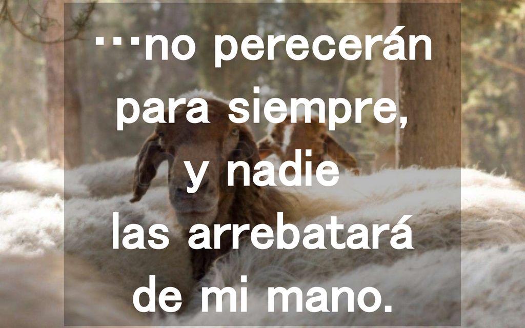 …no perecerán para siempre, y nadie las arrebatará de mi mano.