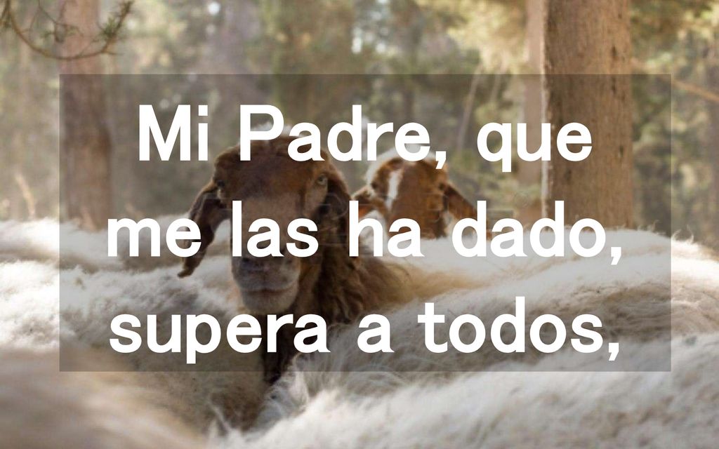 Mi Padre, que me las ha dado, supera a todos,