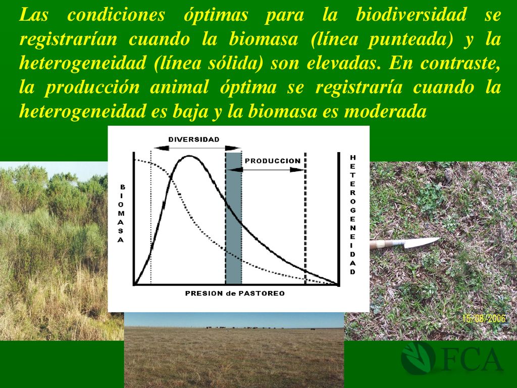 Las condiciones óptimas para la biodiversidad se registrarían cuando la biomasa (línea punteada) y la heterogeneidad (línea sólida) son elevadas.