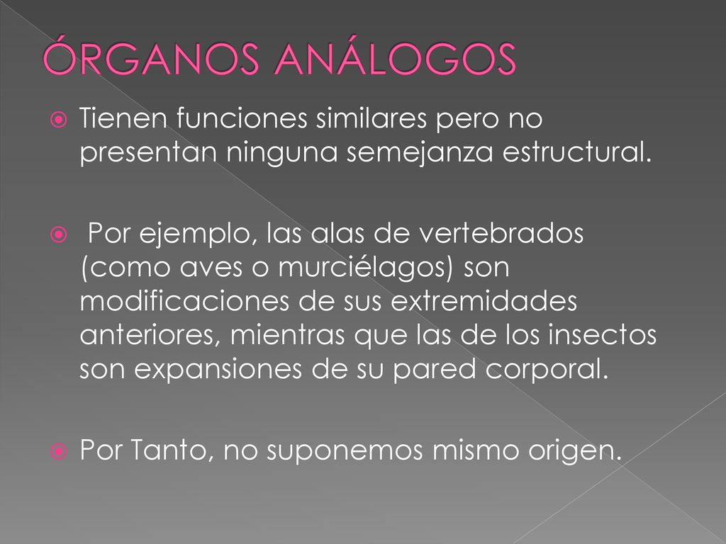 ÓRGANOS ANÁLOGOS Tienen funciones similares pero no presentan ninguna semejanza estructural.