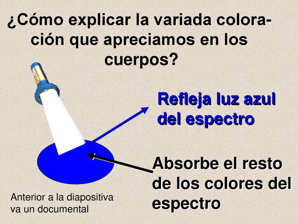 ¿Cómo explicar la variada colora- ción que apreciamos en los