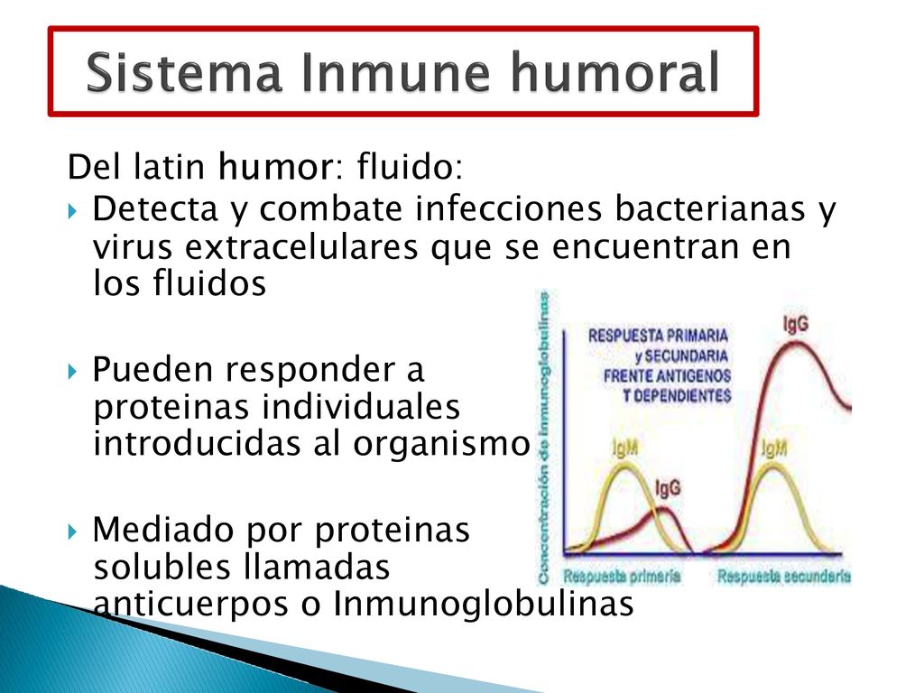 Del latin humor: fluido: y virus extracelulares que se los fluidos