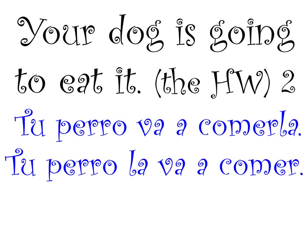Your dog is going to eat it. (the HW) 2