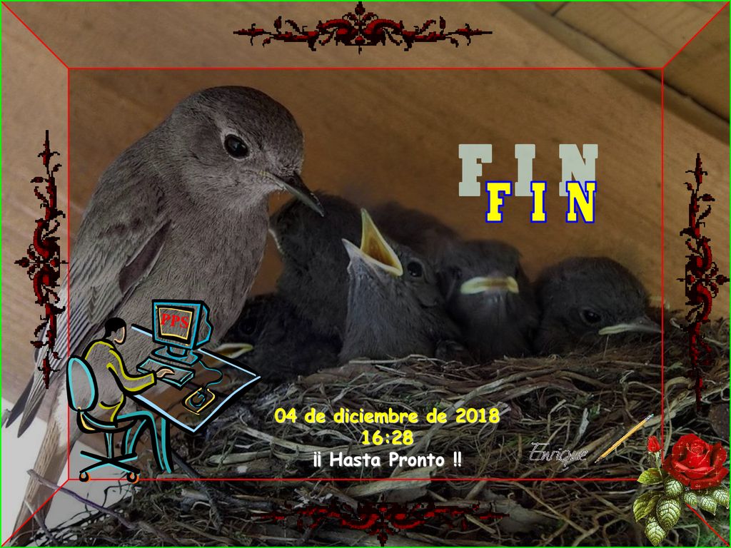 F I N PPS 04 de diciembre de :28 ¡¡ Hasta Pronto !! 10