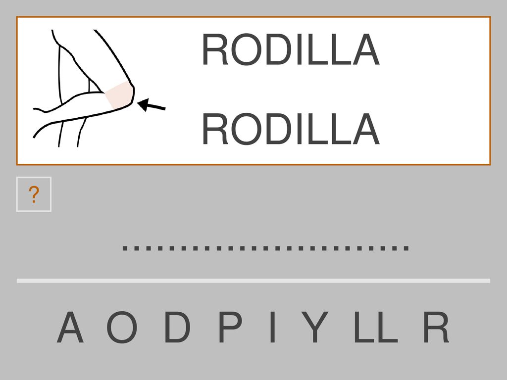 RODILLA RODILLA A O D P I Y LL R