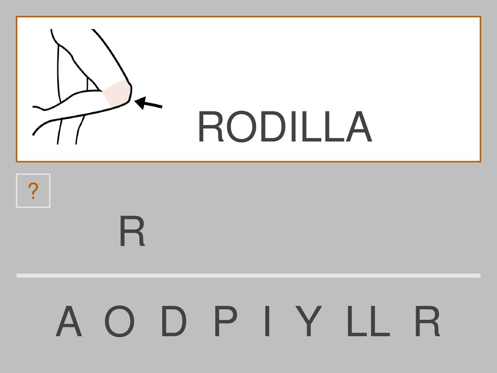 RODILLA R A O D P I Y LL R