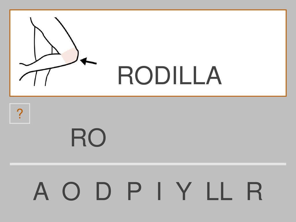 RODILLA RO A O D P I Y LL R