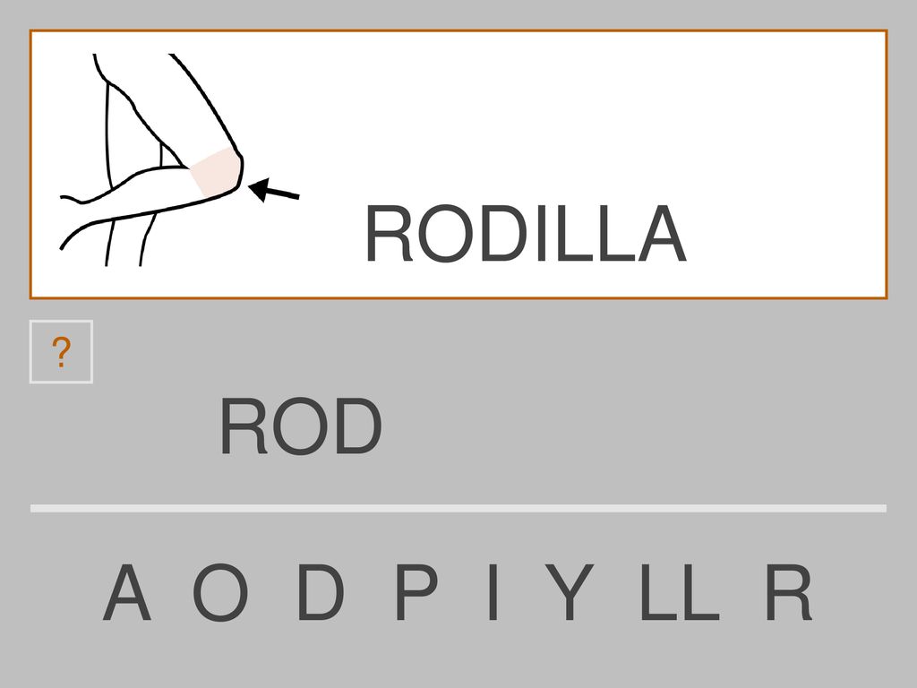 RODILLA ROD A O D P I Y LL R