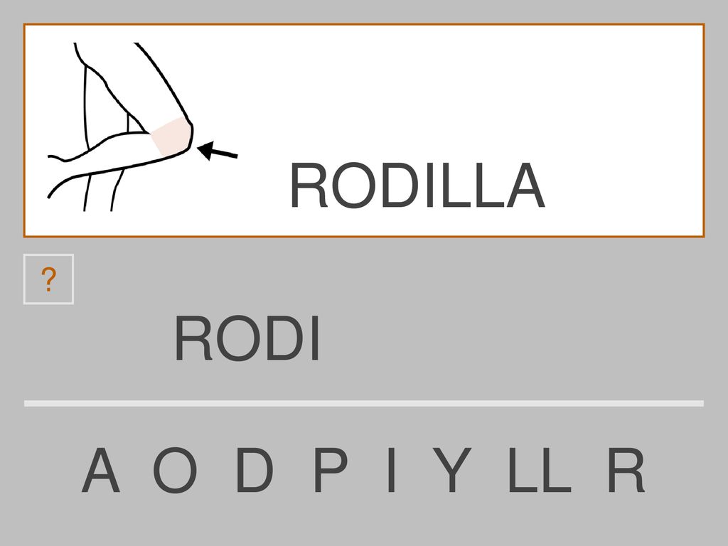 RODILLA RODI A O D P I Y LL R