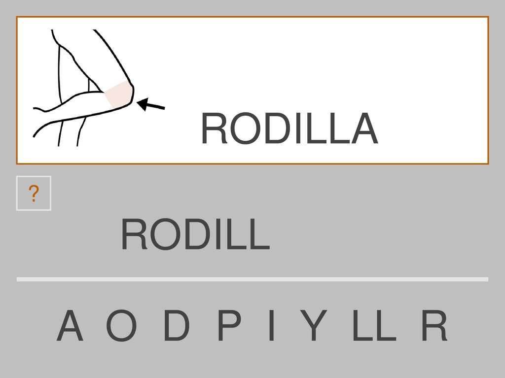 RODILLA RODILL A O D P I Y LL R