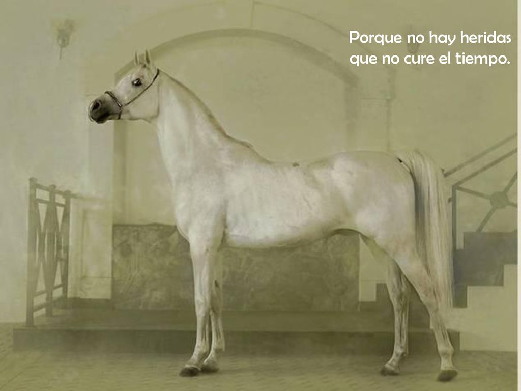 Porque no hay heridas que no cure el tiempo.