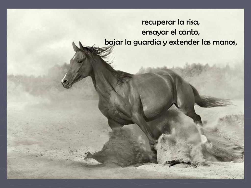 recuperar la risa, ensayar el canto, bajar la guardia y extender las manos,