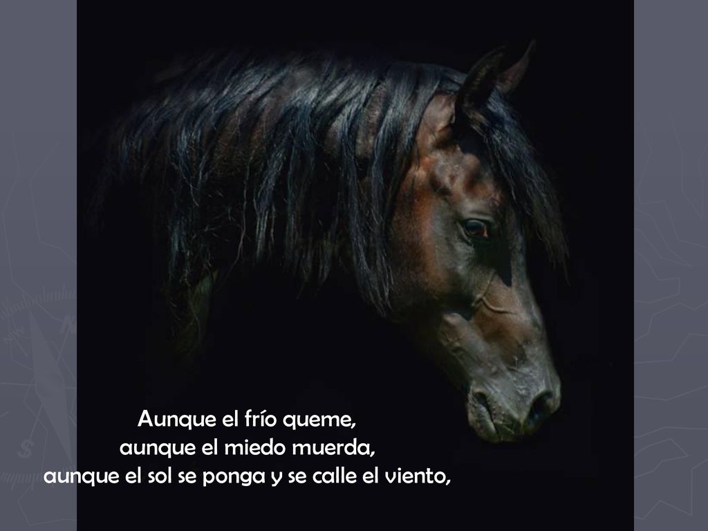 Aunque el frío queme, aunque el miedo muerda, aunque el sol se ponga y se calle el viento,