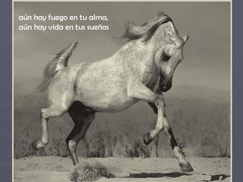 aún hay fuego en tu alma, aún hay vida en tus sueños
