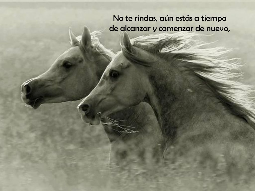 No te rindas, aún estás a tiempo de alcanzar y comenzar de nuevo,