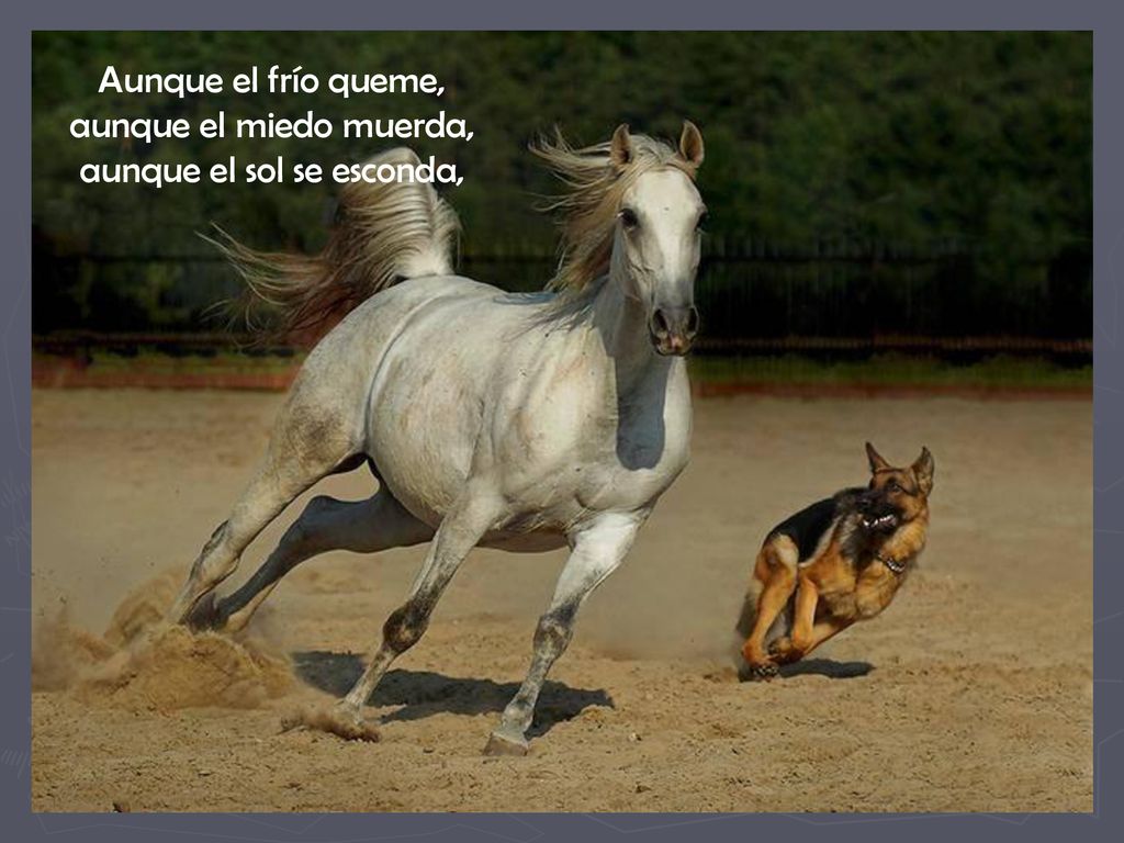 Aunque el frío queme, aunque el miedo muerda, aunque el sol se esconda,