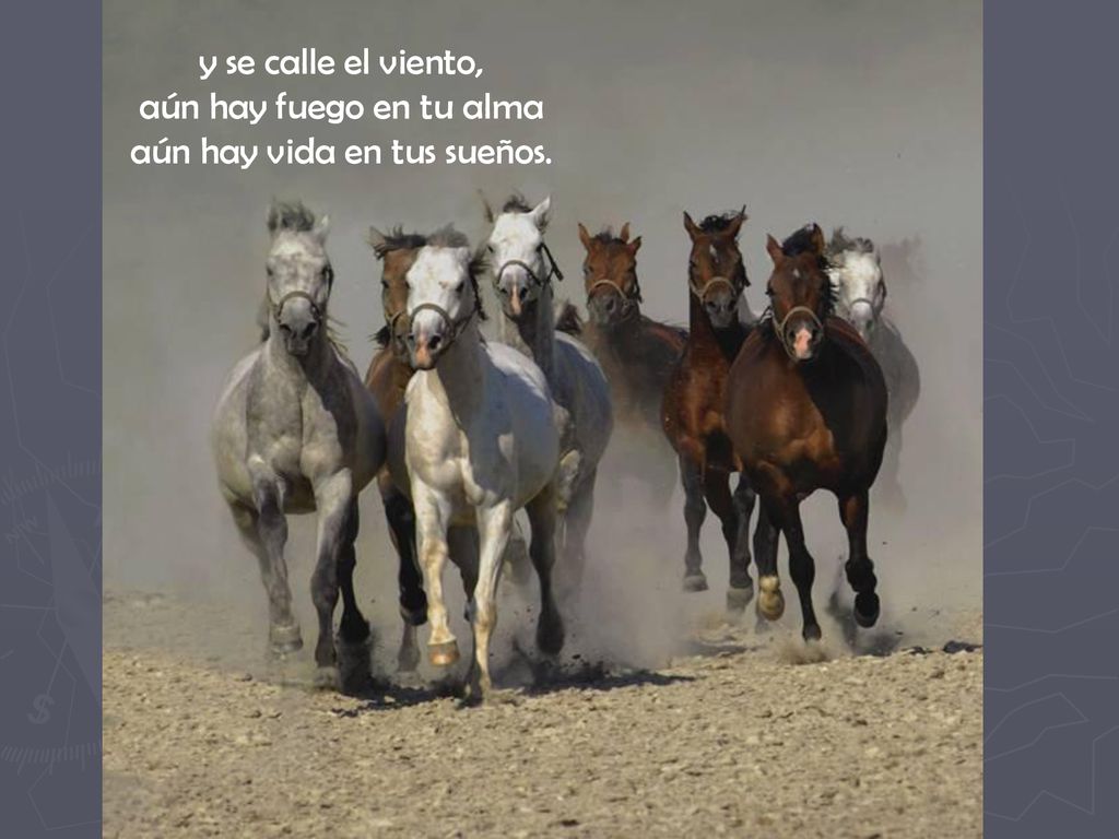 y se calle el viento, aún hay fuego en tu alma aún hay vida en tus sueños.