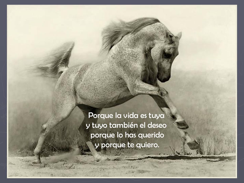 y tuyo también el deseo porque lo has querido