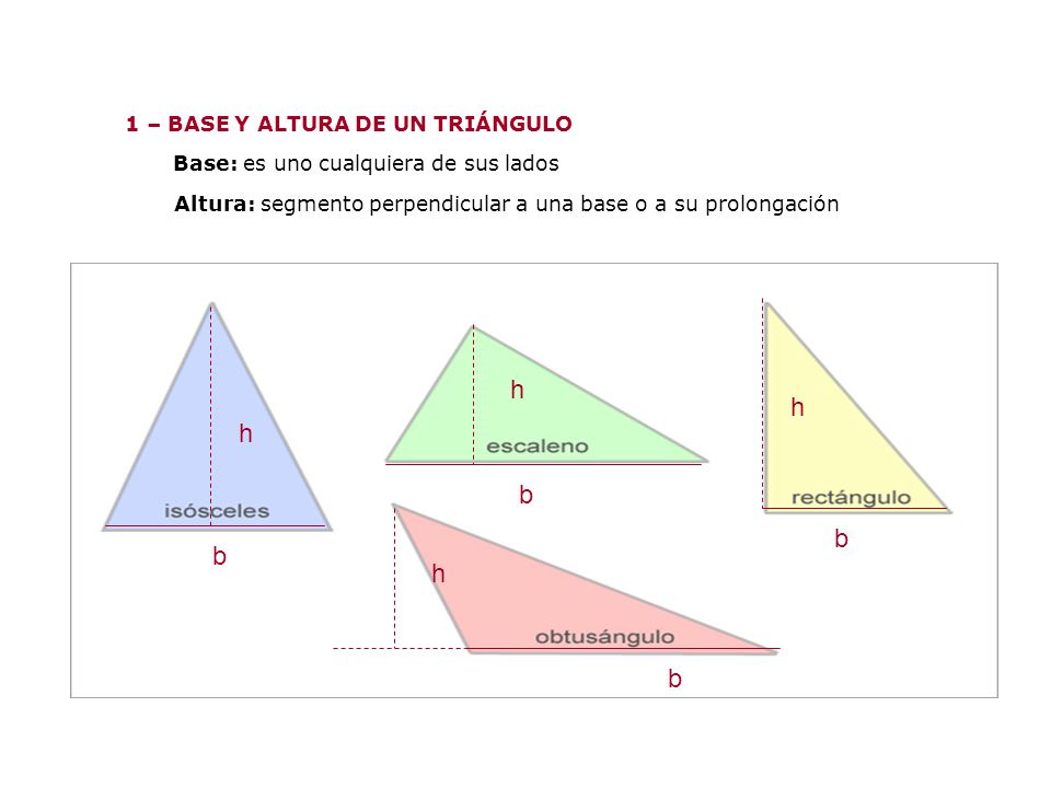 h h h b b b h b 1 – BASE Y ALTURA DE UN TRIÁNGULO