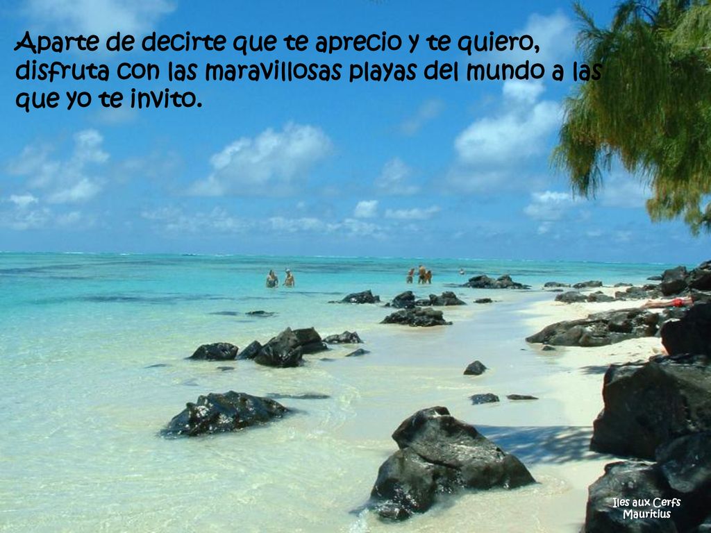 Aparte de decirte que te aprecio y te quiero, disfruta con las maravillosas playas del mundo a las que yo te invito.