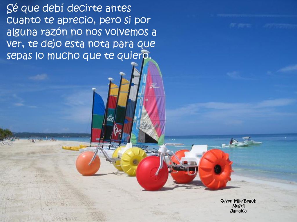 Sé que debí decirte antes cuanto te aprecio, pero si por alguna razón no nos volvemos a ver, te dejo esta nota para que sepas lo mucho que te quiero.
