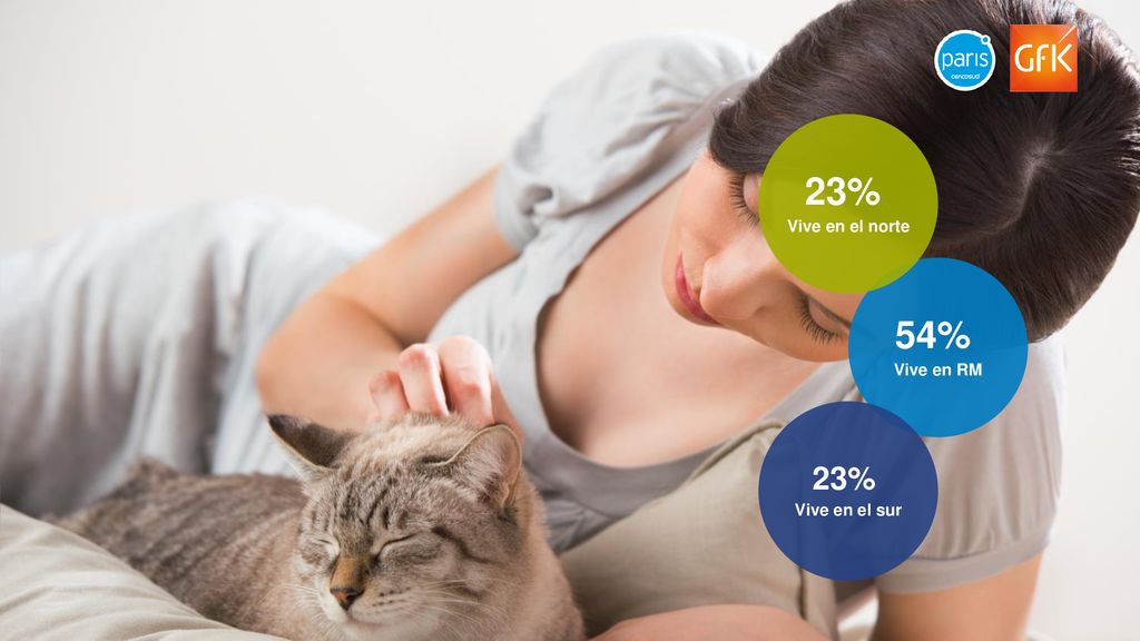 23% Vive en el norte 54% Vive en RM 23% Vive en el sur