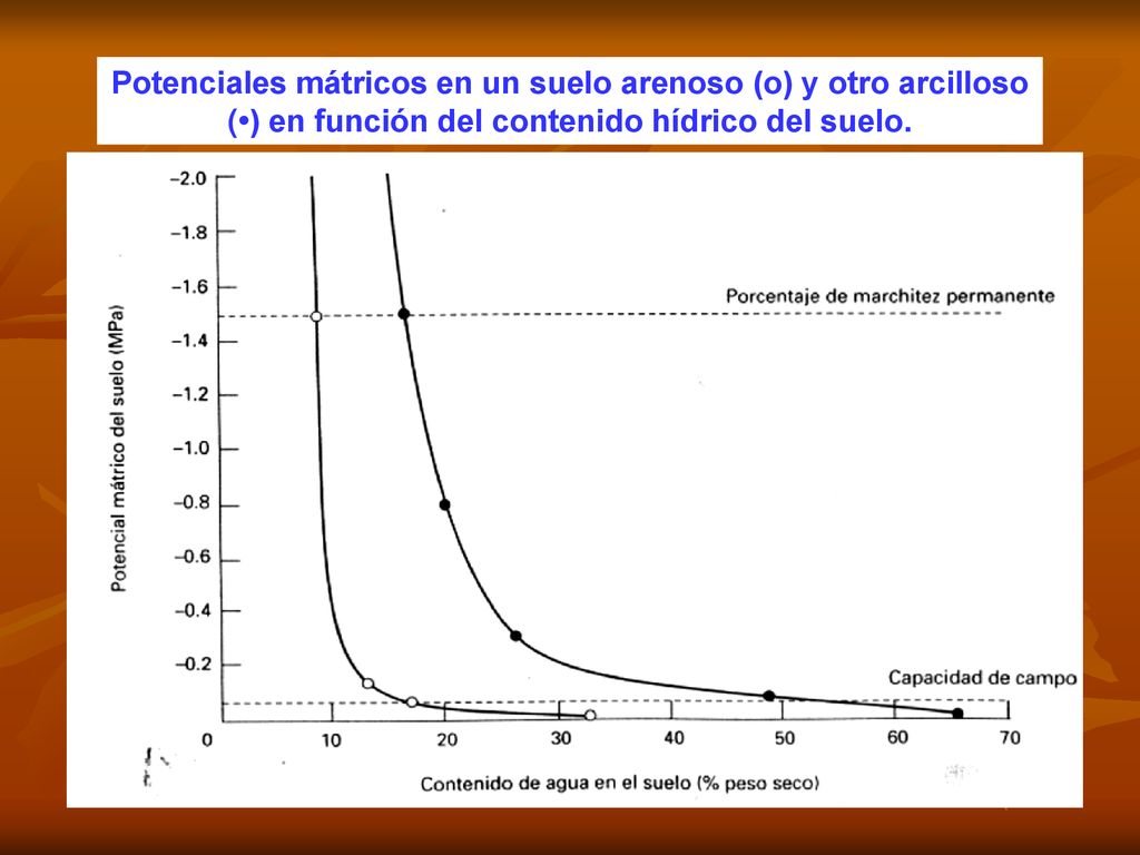 Potenciales mátricos en un suelo arenoso (o) y otro arcilloso (•) en función del contenido hídrico del suelo.