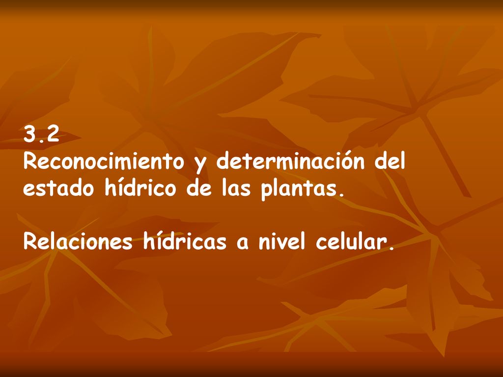 3.2 Reconocimiento y determinación del. estado hídrico de las plantas.
