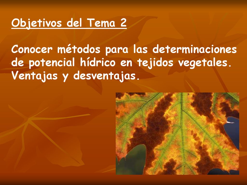 Objetivos del Tema 2 Conocer métodos para las determinaciones de potencial hídrico en tejidos vegetales.