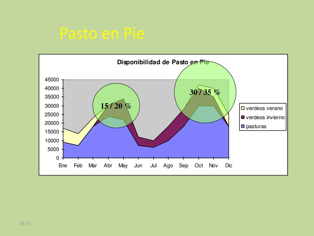 Pasto en Pie 30 / 35 % 15 / 20 % 19:23