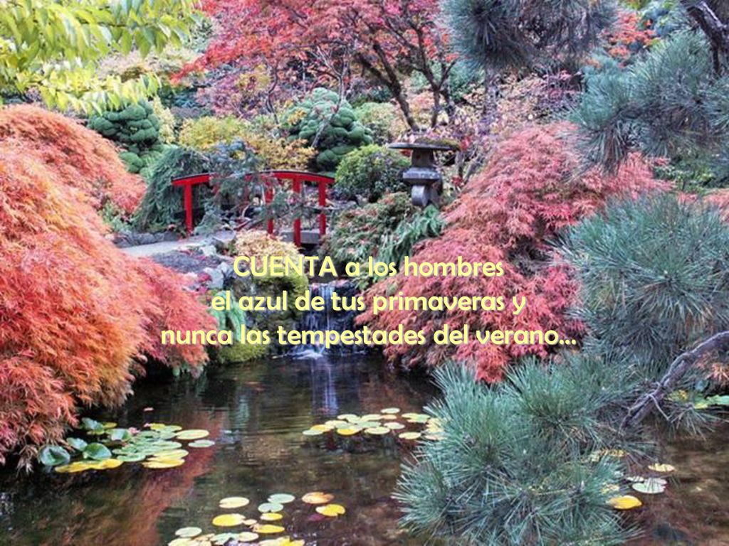 el azul de tus primaveras y nunca las tempestades del verano...