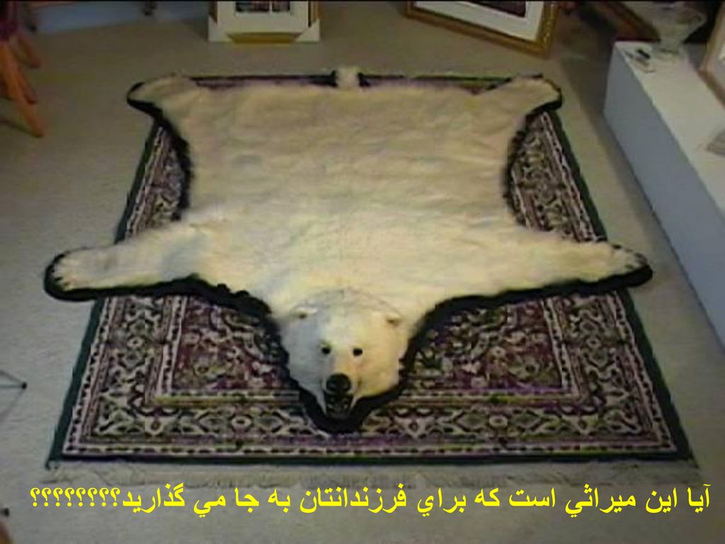 آيا اين ميراثي است كه براي فرزندانتان به جا مي گذاريد؟؟؟؟؟؟؟؟