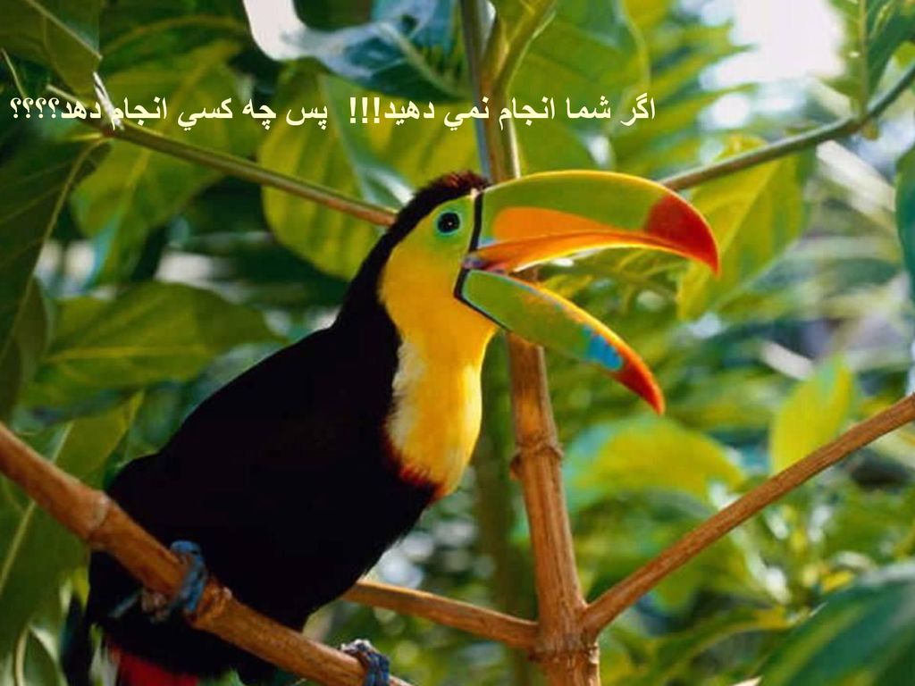 اگر شما انجام نمي دهيد!!! پس چه كسي انجام دهد؟؟؟؟