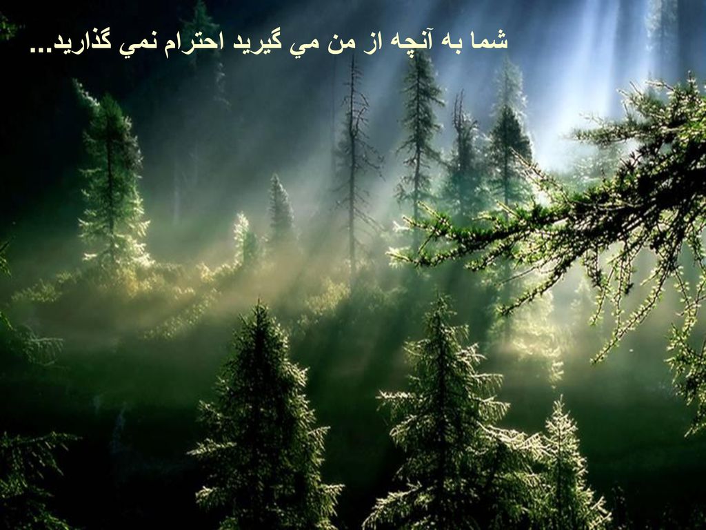 شما به آنچه از من مي گيريد احترام نمي گذاريد...