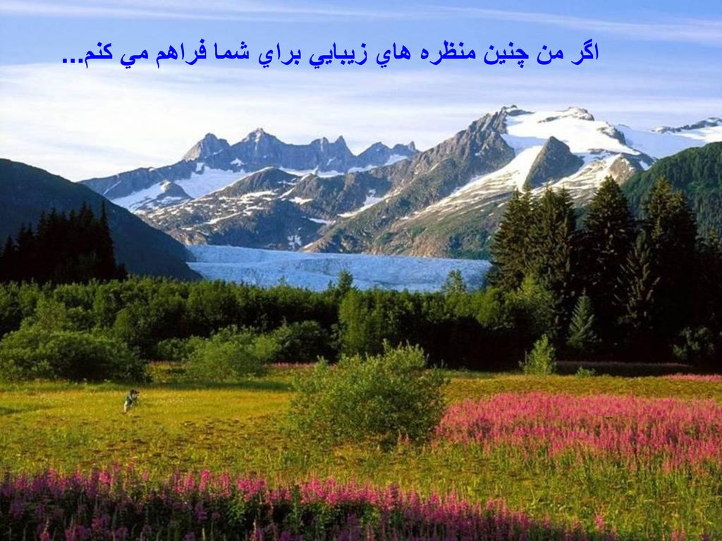 اگر من چنين منظره هاي زيبايي براي شما فراهم مي كنم...