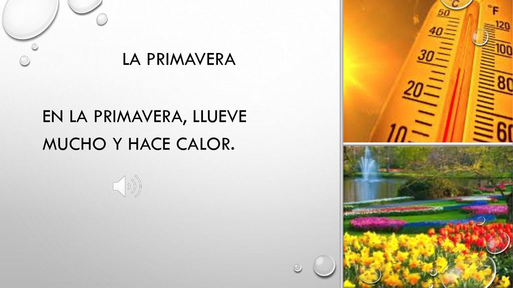 La primavera En la primavera, llueve mucho y hace calor.