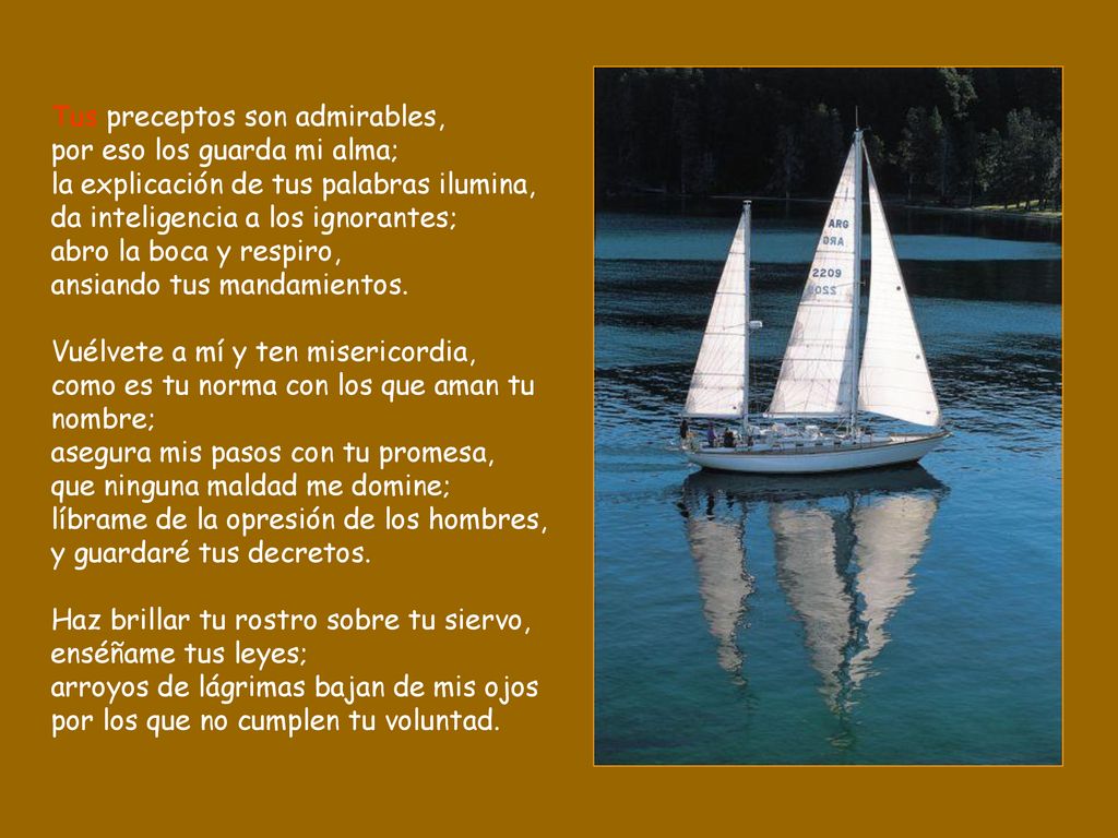 Tus preceptos son admirables, por eso los guarda mi alma; la explicación de tus palabras ilumina, da inteligencia a los ignorantes; abro la boca y respiro, ansiando tus mandamientos.