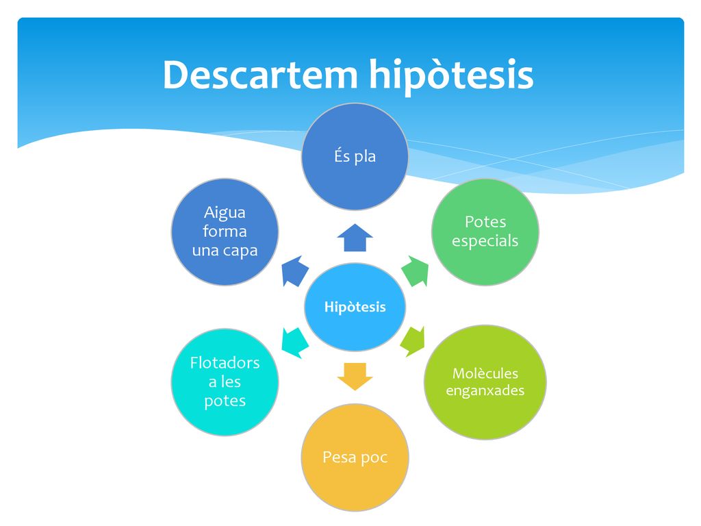 Descartem hipòtesis És pla Aigua forma una capa Potes especials