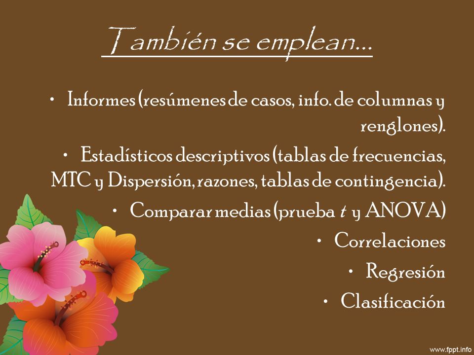 También se emplean… Informes (resúmenes de casos, info. de columnas y renglones).