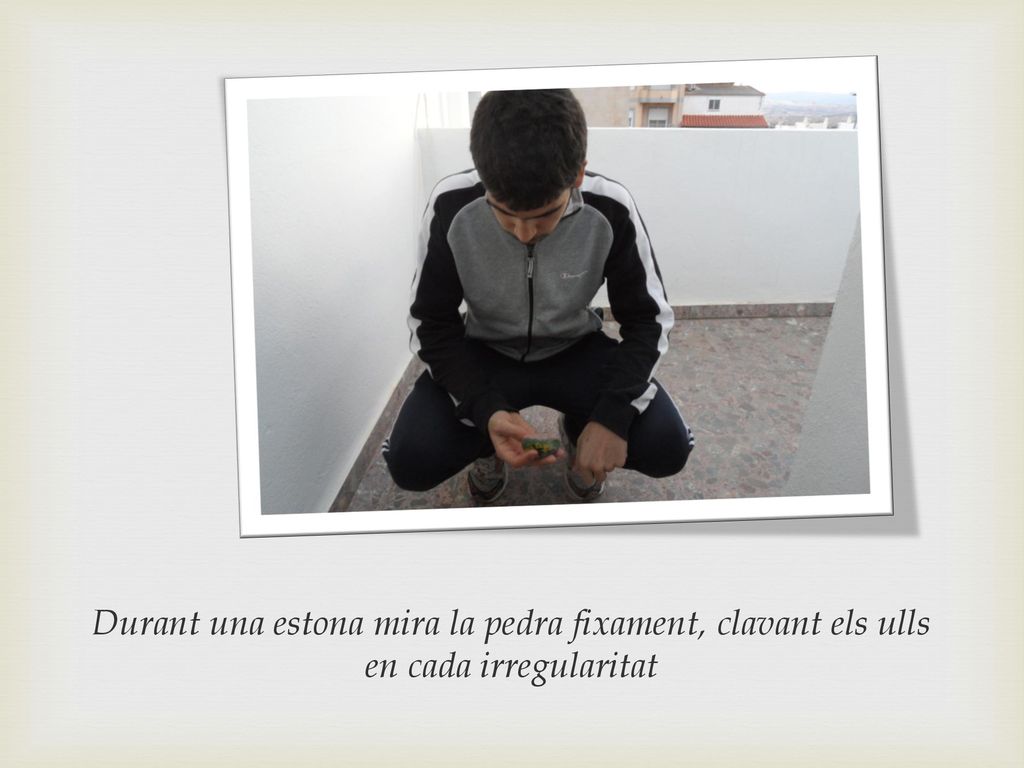 Durant una estona mira la pedra fixament, clavant els ulls en cada irregularitat