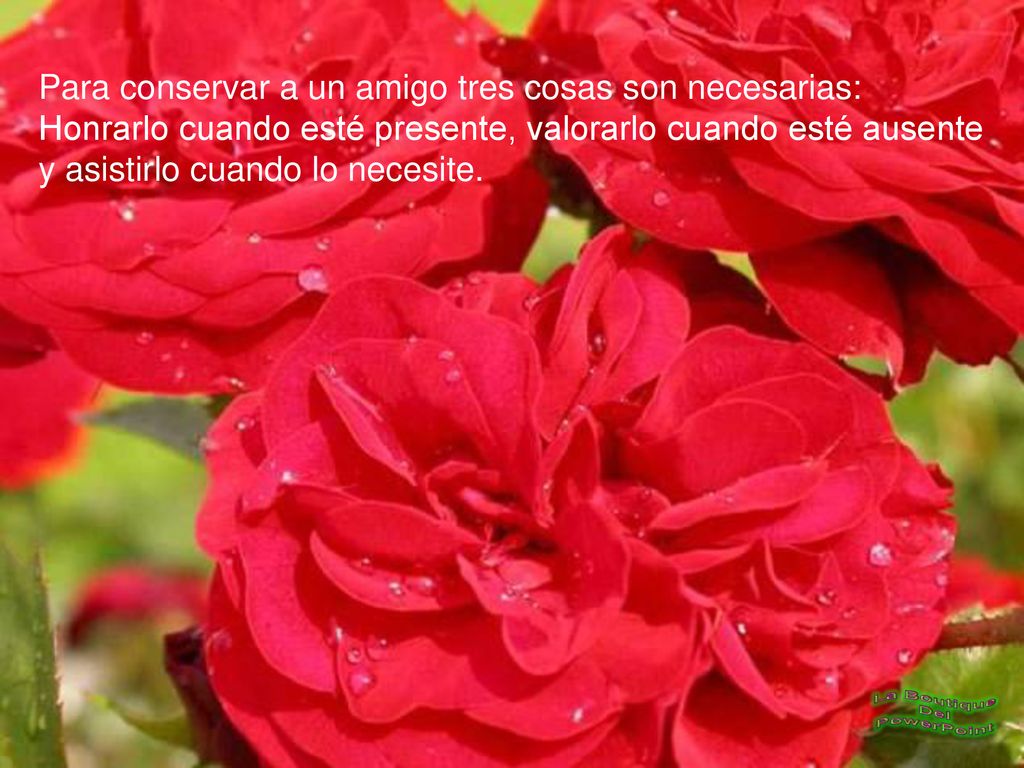 Para conservar a un amigo tres cosas son necesarias: Honrarlo cuando esté presente, valorarlo cuando esté ausente y asistirlo cuando lo necesite.