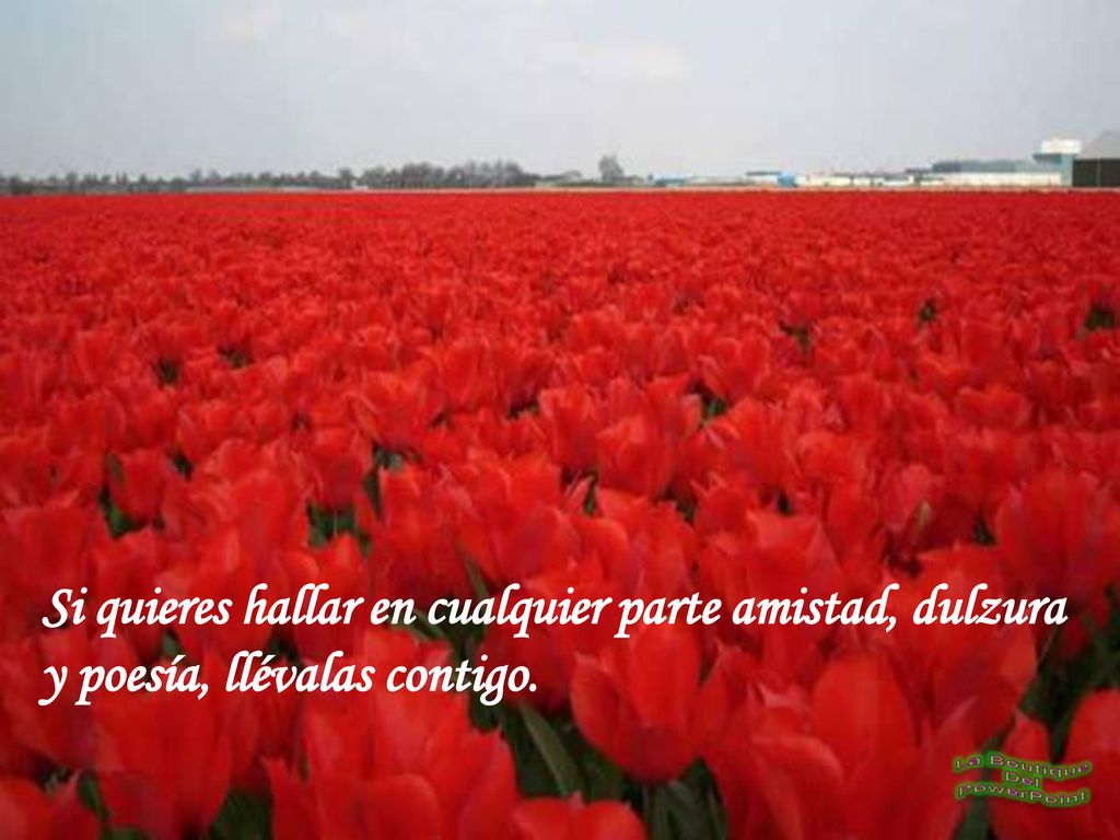 Si quieres hallar en cualquier parte amistad, dulzura y poesía, llévalas contigo.
