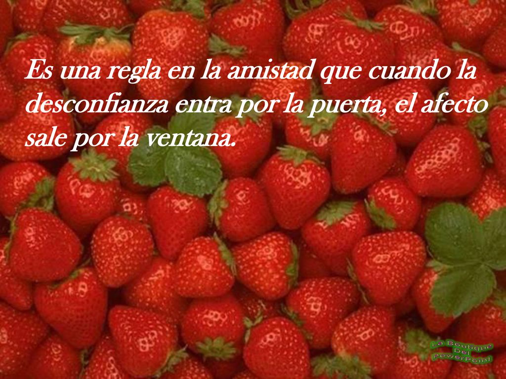 Es una regla en la amistad que cuando la desconfianza entra por la puerta, el afecto sale por la ventana.