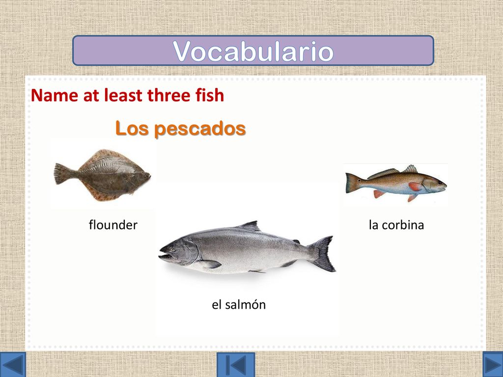 Vocabulario Name at least three fish. Los pescados el salmón