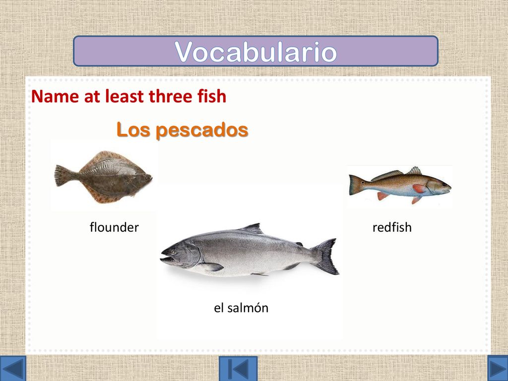 Vocabulario Name at least three fish. Los pescados el salmón