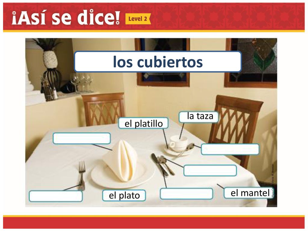 los cubiertos la taza el platillo el mantel el plato